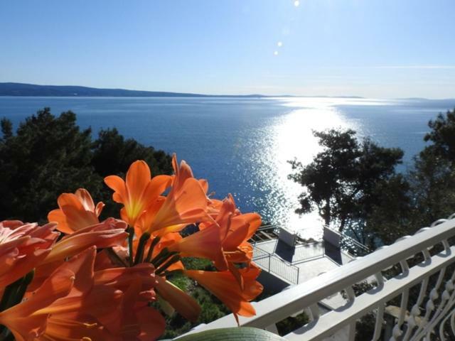 Sunrise Vid Apartment Dugi Rat Exterior foto